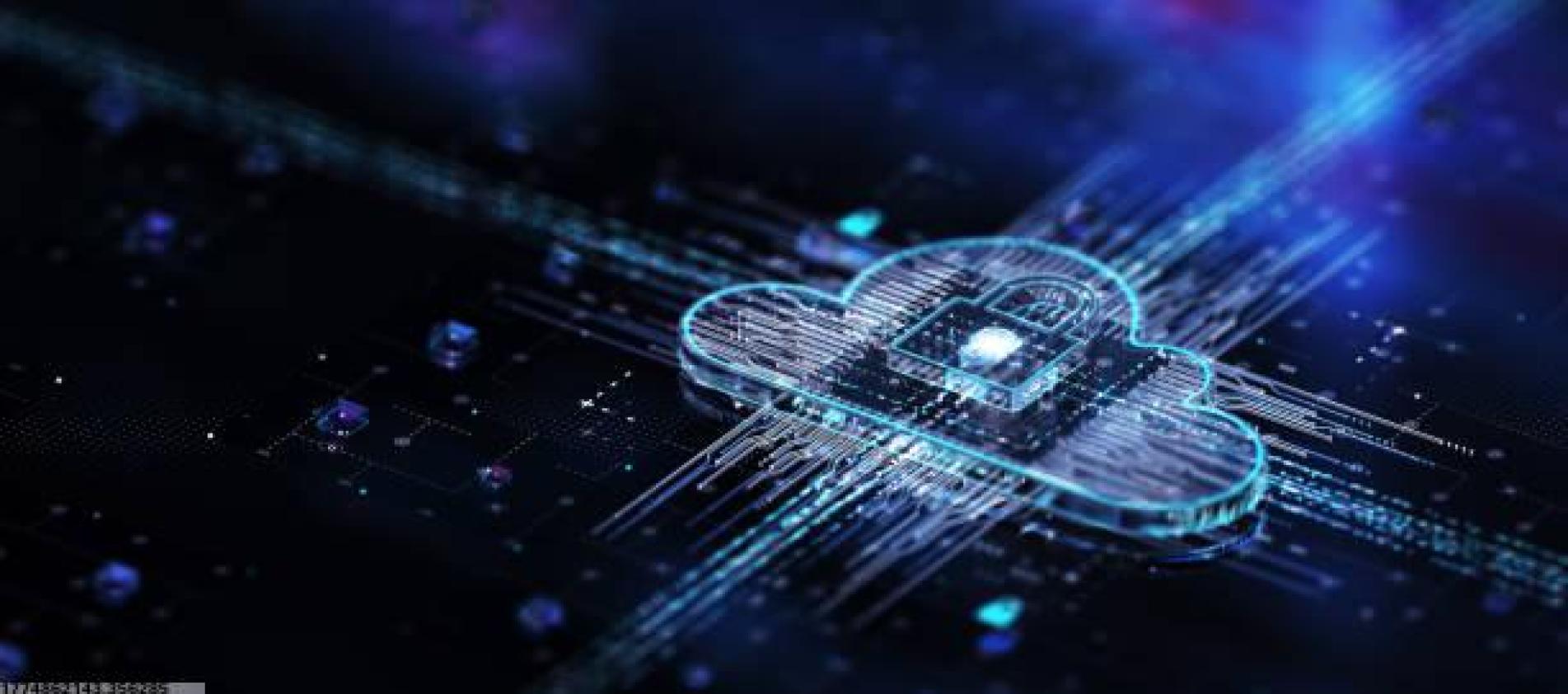 体育IP赛事孵化